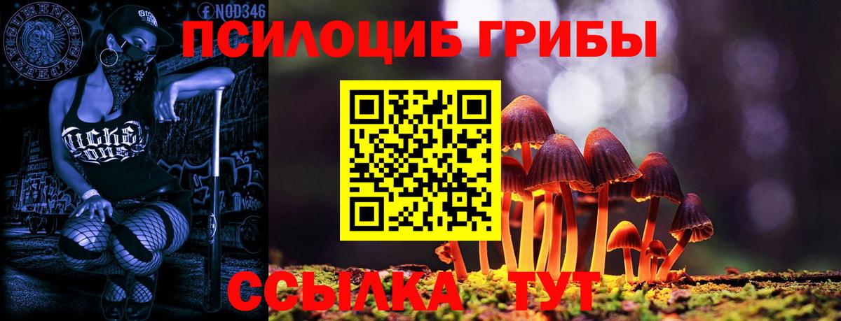 Ковров  Галлюциногенные грибы Psilocybe  Вход с VPN  Псилоцибиновые грибы MAGIC MUSHROOMS 